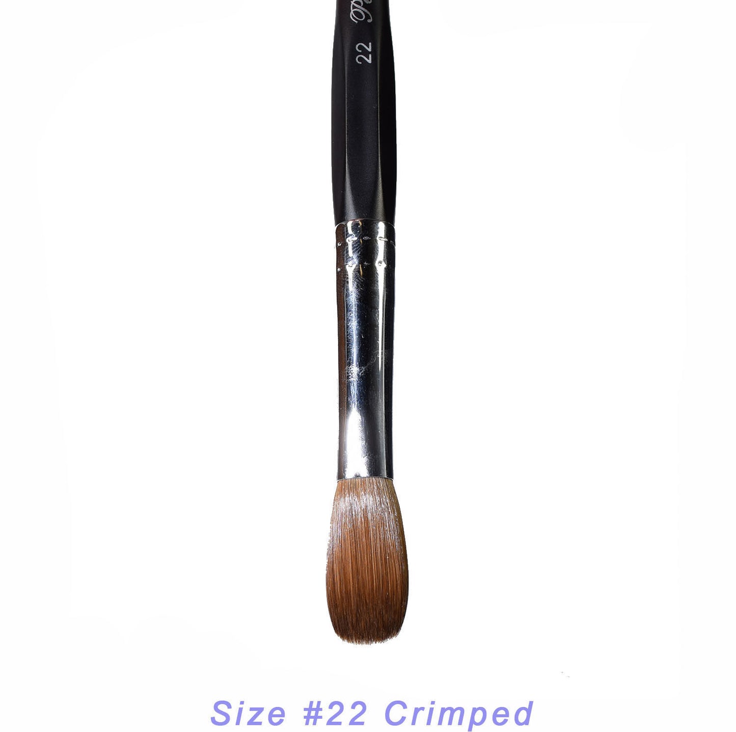 Six Angles - Black Petal Kolinsky Acrylic Nail Brush for Manicure Powder (CRIMPED)