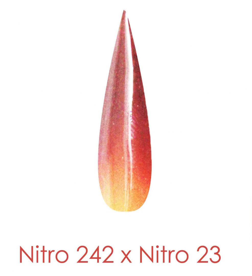 Polvo de inmersión Nitro - Juego de 2 colores Ombre 2oz - ANTES DEL FUTURO (NT242 X 023)