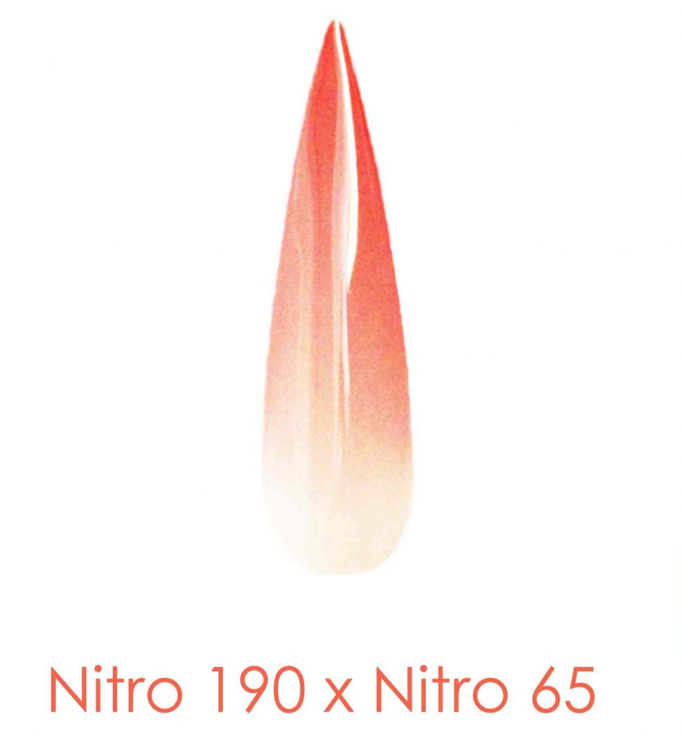 Polvo de inmersión Nitro - Juego de 2 colores Ombre 2oz/frasco - FLOR EN EL ALMA (NT190 X 065)