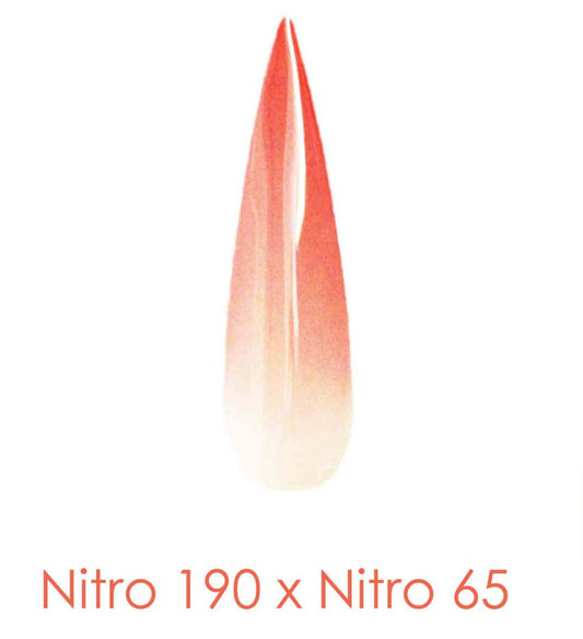 Polvo de inmersión Nitro - Juego de 2 colores Ombre 2oz - FLOR EN EL ALMA (NT190 X 065)