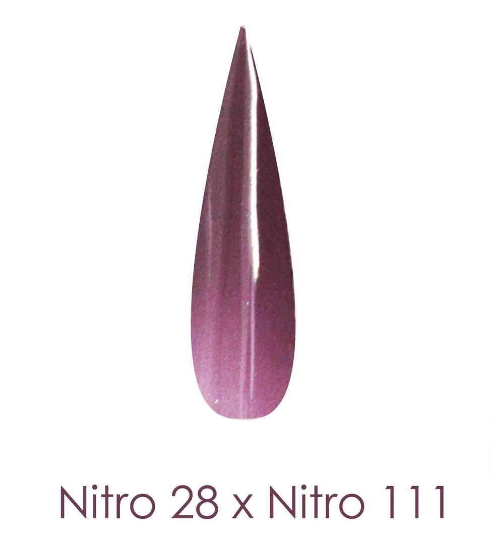 Polvo de inmersión Nitro - Juego de 2 colores degradados 2oz/frasco - HERMOSO E HUNTING (NT028 X 111)