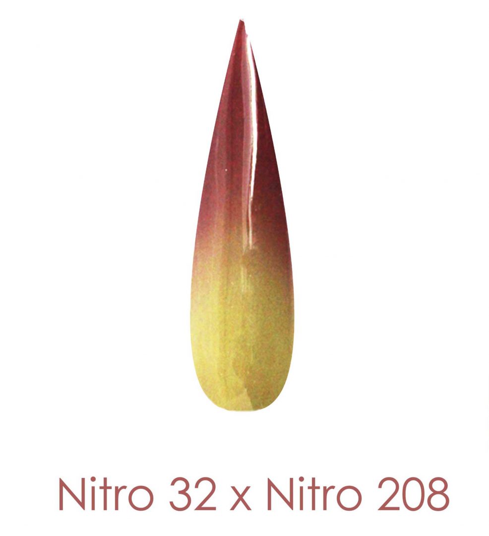 Nitro Dipping Powder - Set of 2 Ombre Colors 2oz/Jar - ICE OF SECRET (NT032 X 208)